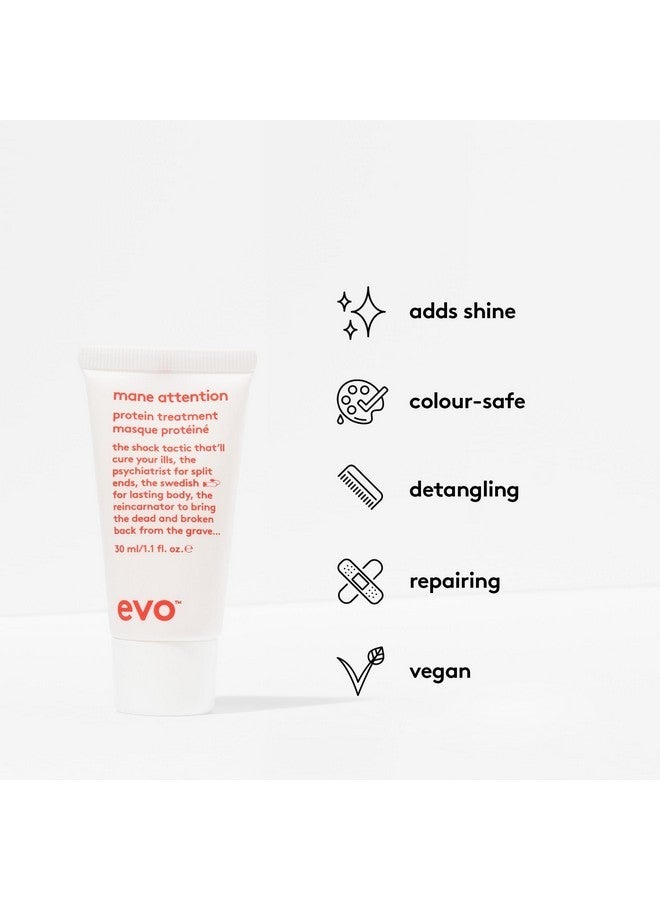 إيفو علاج الشعر بالبروتين EVO Mane Attention - يعيد بناء الشعر ويصلحه ويقويه - حجم مناسب للسفر، 30 مل / 1.01 أونصة سائلة - Image 2