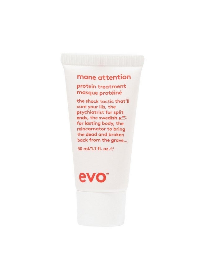 إيفو علاج الشعر بالبروتين EVO Mane Attention - يعيد بناء الشعر ويصلحه ويقويه - حجم مناسب للسفر، 30 مل / 1.01 أونصة سائلة - Image 1