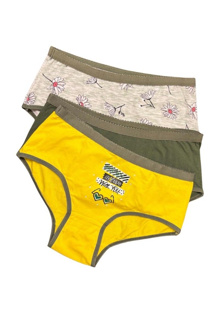 YOUNG WEAR Brief Panty – 3-Pack | Soft Cotton, High-Waist, Breathable & Comfortable | Ideal for Everyday Wear | Available in Sizes M to 3XL - Image 2