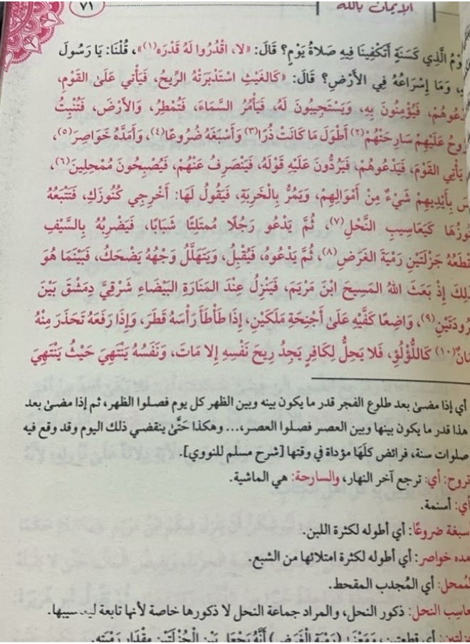 The Book of What a Muslim Cannot Ignore: Your Essential Reference for Understanding the Teachings of Islam