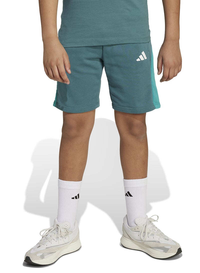 Adidas Youth Seasonal Esential Colorblock Shorts - Image 1