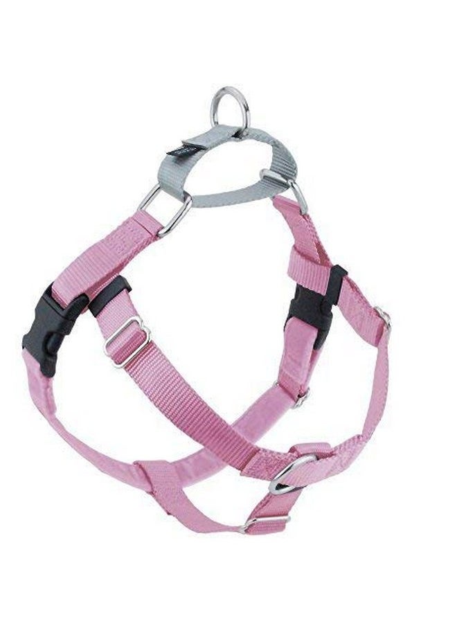 2 HOUNDS DESIGN 2 Hounds Design Freedom No-Pull Dog Harness with Leash, Large, 1-Inch Wide, Raspberry 