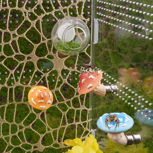 GAGILAND 6pcs Jumping Spider Accessories Glass Ball Hide Habitat Mushroom Platform Spider Webbed Moss Ribbons Decorating Jumping Spiders Enclosure Accessories for Climbing Resting and Exploration - Image 5