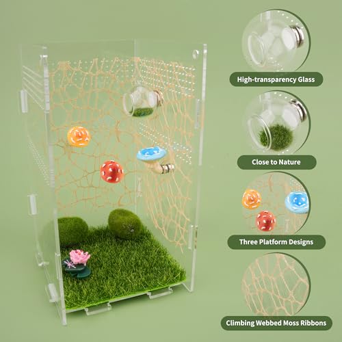 GAGILAND 6pcs Jumping Spider Accessories Glass Ball Hide Habitat Mushroom Platform Spider Webbed Moss Ribbons Decorating Jumping Spiders Enclosure Accessories for Climbing Resting and Exploration - Image 3