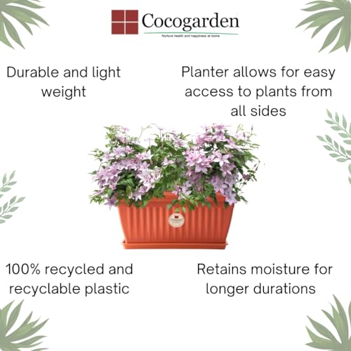 cocogarden Rectangle 12 inch Window Planters Pots for Plants with Tray (Pack of 2,Terracotta Colour) - Image 3