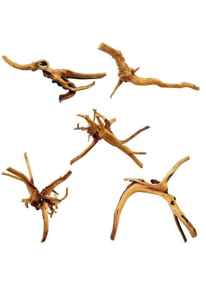 Hamiledyi 5 Pack Natural Driftwood for Aquarium Reptile Spider Wood Assorted Branches Aquarium Decoration Fish Tank Ornament Decor - Image 1