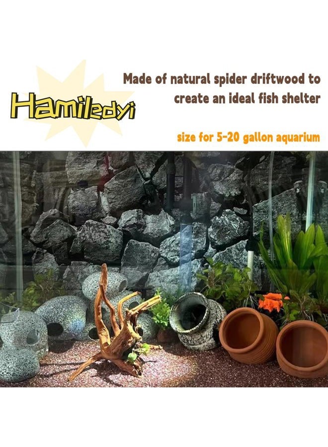 Hamiledyi 5 Pack Natural Driftwood for Aquarium Reptile Spider Wood Assorted Branches Aquarium Decoration Fish Tank Ornament Decor - Image 3