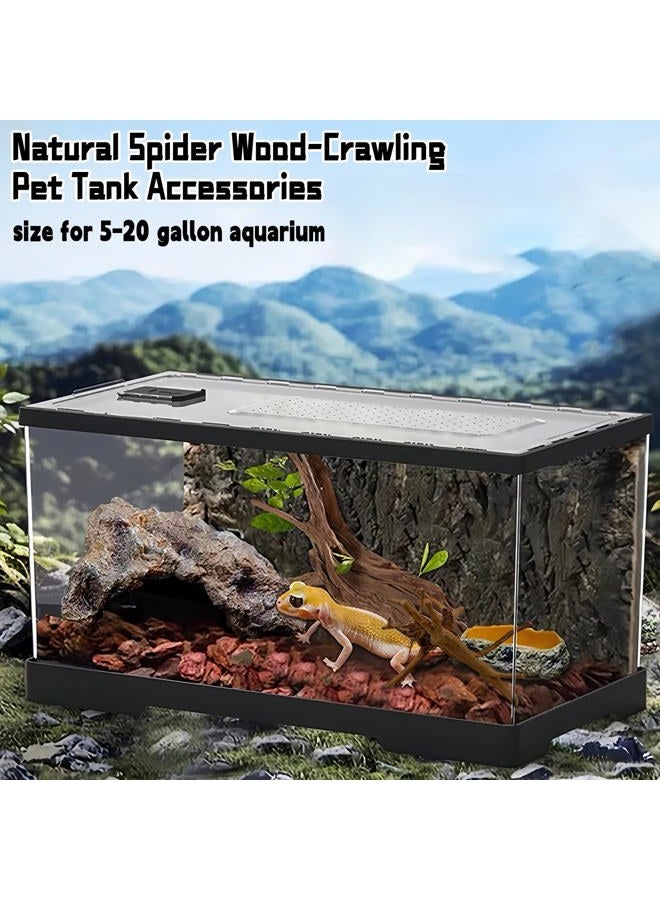 Hamiledyi 5 Pack Natural Driftwood for Aquarium Reptile Spider Wood Assorted Branches Aquarium Decoration Fish Tank Ornament Decor - Image 4