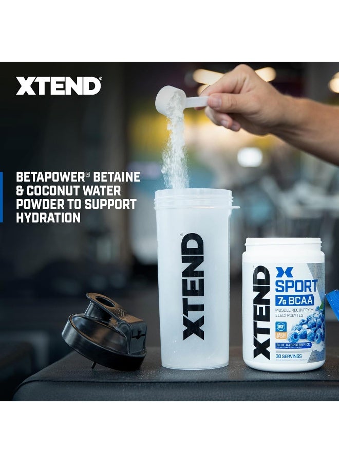XTEND Sport BCAA Powder Blue Raspberry Ice - Electrolyte Powder for Recovery & Hydration with Amino Acids - 30 Servings - Image 3