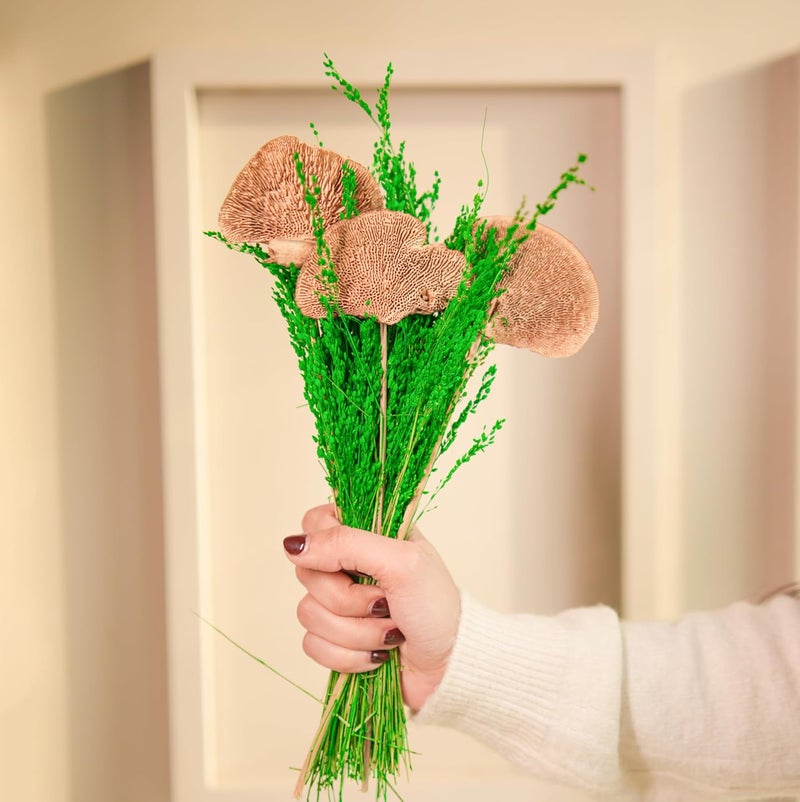 Arte Casa Arte Casa Dried Flower Timber Green Bunch Rustic Flower Bunch Natural and Earthy Floral Arrangement Gift for Special Occasions Ideal for Anniversary Valentine 1 Bunch Green Natural  - Image 1