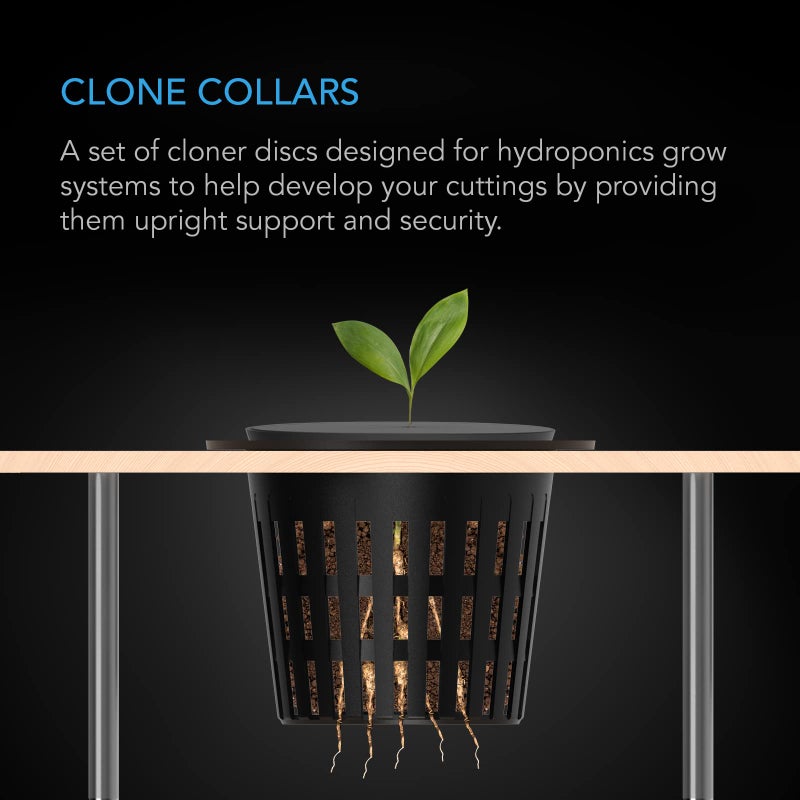 AC Infinity Clone Collar 3-Inch, Cloner Inserts with 8-Spoke Design, 50-Pack for Use with Net Cups in Hydroponics Growing Systems, Aeroponics, Cloning Machines, and Home Gardening - Image 2