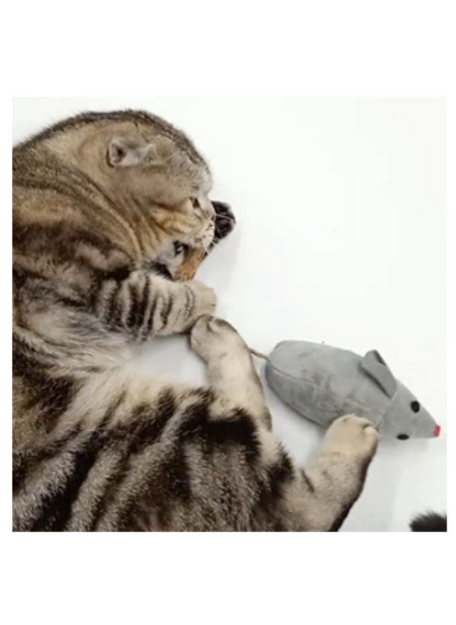 ViveLifDeco Cat Toys, Interactive Catnip Animals Toys for Indoor Kittens,Cat Nip Chirping Toy, Cat Chew Exercise Toy  - Image 4