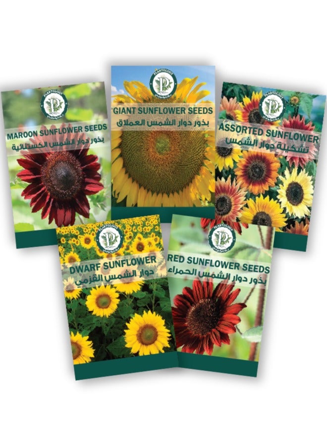بذور عباد الشمس للزراعة - مزيج عباد الشمس كومبو من 5