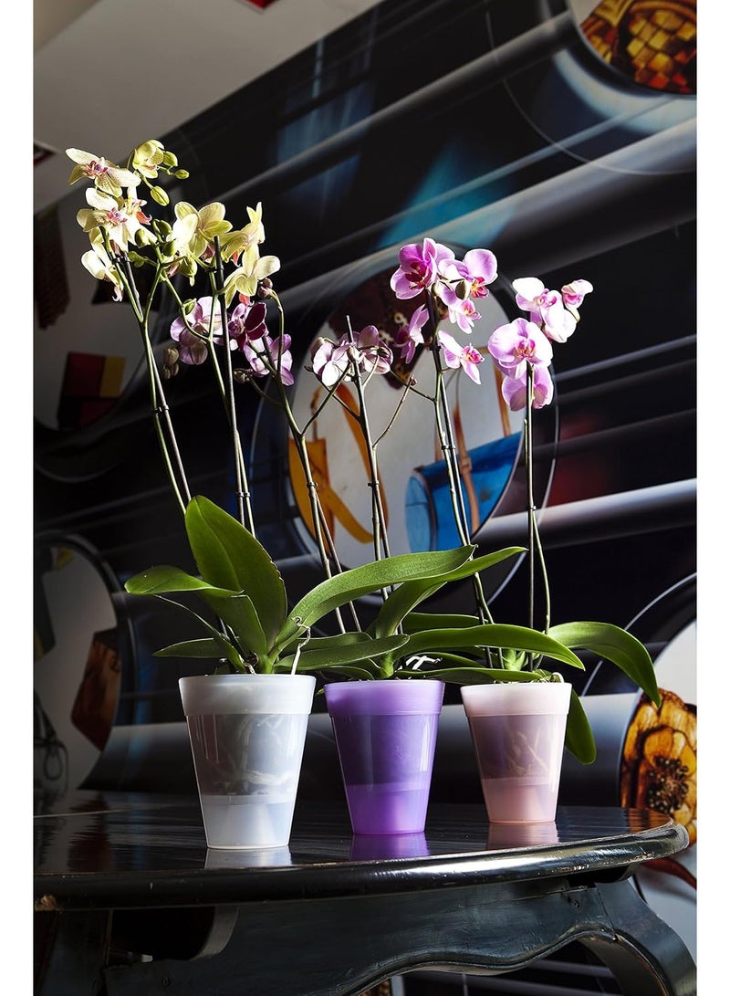 Idel Small Round Plastic Flower Pot 10cm & 17cm – 0.7L, 2.5L Mini Planter for Indoor Plants, Herbs, Succulents – Lightweight Pot for Home, Desk & Balcony - Image 2