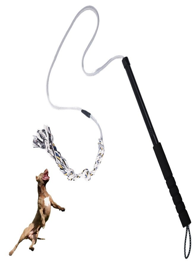 TwinkleTool Flirt Pole for Dogs Interactive Dog Toys Durable Heavy Duty Dog Flirt Pole Suitable for Small and Medium Dogs Great Exercise and Training Tool Multifunction Dog Enrichment Toys - Image 1