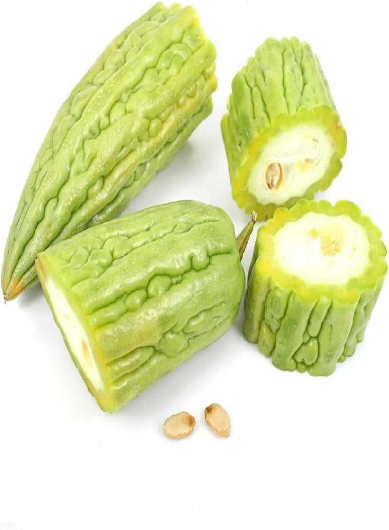 GGOOT 20Pcs Bitter Gourd Seeds Year Round Greenhouse Cultivation The Family Dinner Table The Necessary Vegetables Loved by People - Image 1