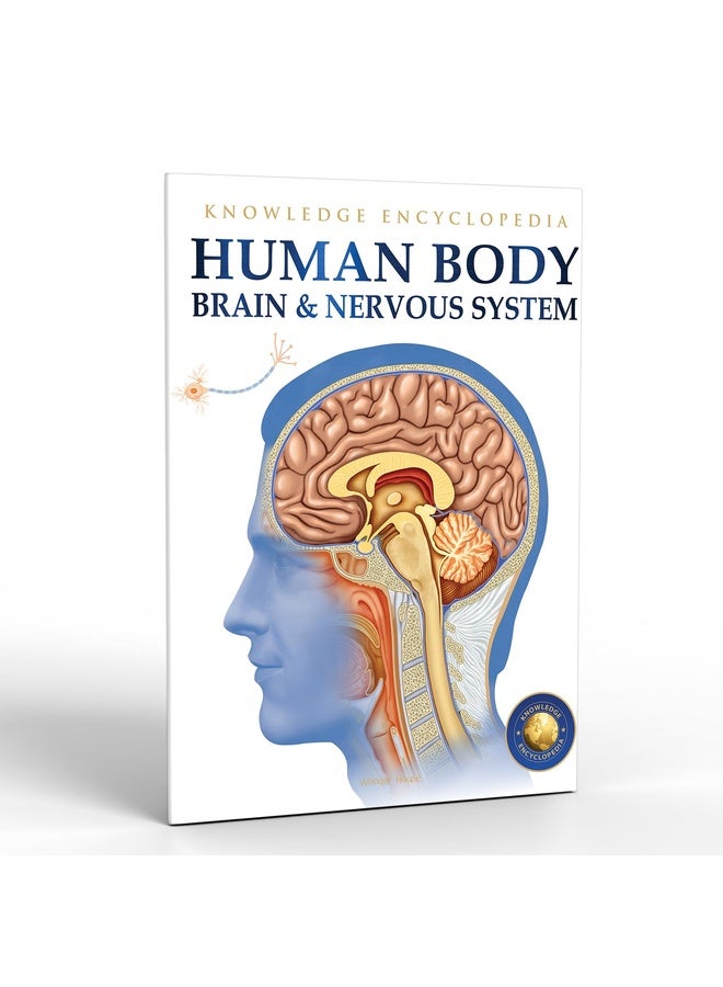 Human Body - Brain And Nervous System: Knowledge Encyclopedia For Children