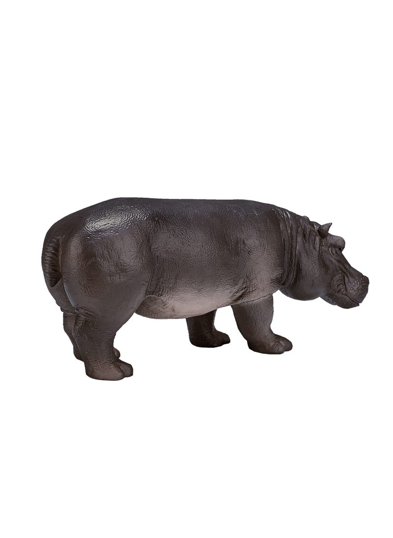 Mojo Hippopotamus - pzsku/ZE20D71A7C031584A760FZ/45/_/1723032091/c310cee9-411f-4ec1-bf4e-c0fe4b107f5e