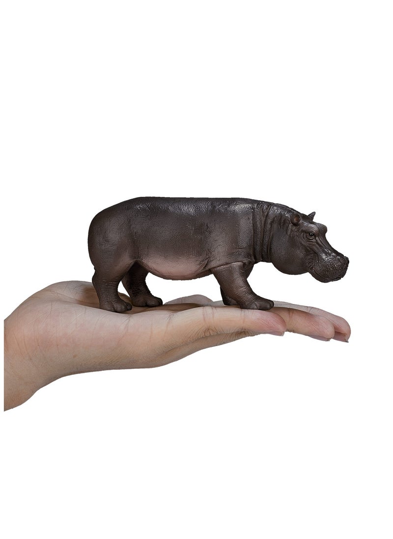 Mojo Hippopotamus - pzsku/ZE20D71A7C031584A760FZ/45/_/1723032101/1f3ddbb9-39b4-42fd-83b9-26e2ecadaad5