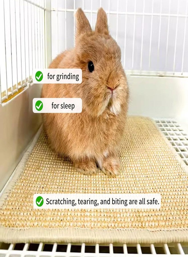Oncpcare 4PCS Rabbit Scratch Mat - Natural Bunny Scratching Pad for Claws & Teeth Care, Cages & Pet Cage Bedding, 16x12 - Image 3