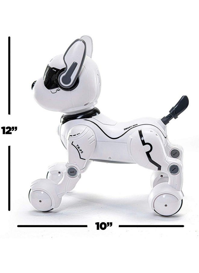 Top Race Top Race Rechargeable Robot Dog- Interactive Smart Robo Dog for Kids Ages 5-7 - Programmable with Remote Control, Voice and Touch Features - Realistic Actions and Perform Tricks - 4x5x6 Inches (White)  - Image 4