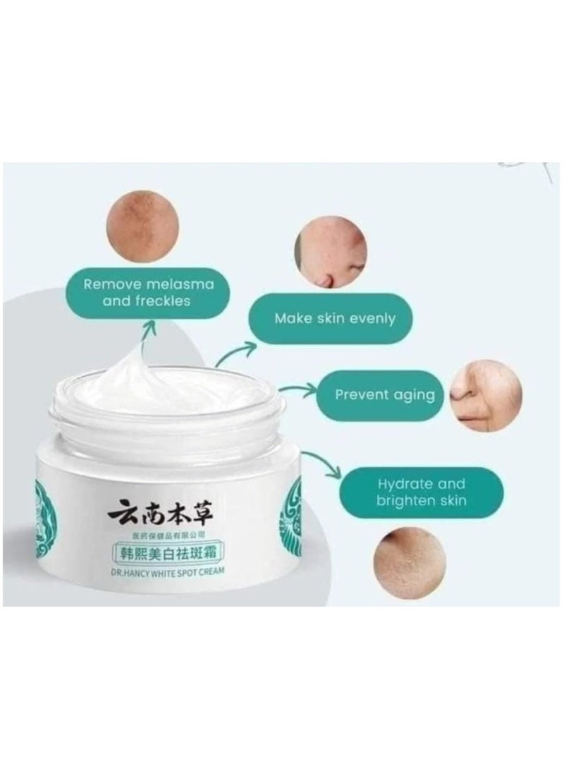 DR. HANCY WHITE SPOT CREAM Japanese Melasma Cream Formula 20 g For Dark Spot Removal Skin Brightening And Melasma Treatment - Image 3