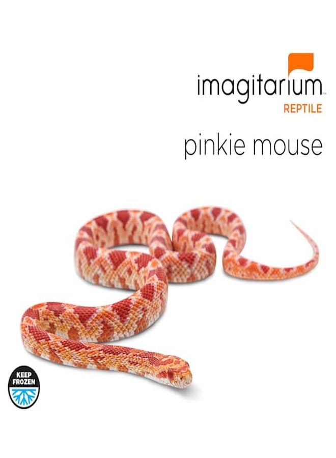 imagitarium Frozen Pinkie Mouse, Medium, Count of 50 - Image 2