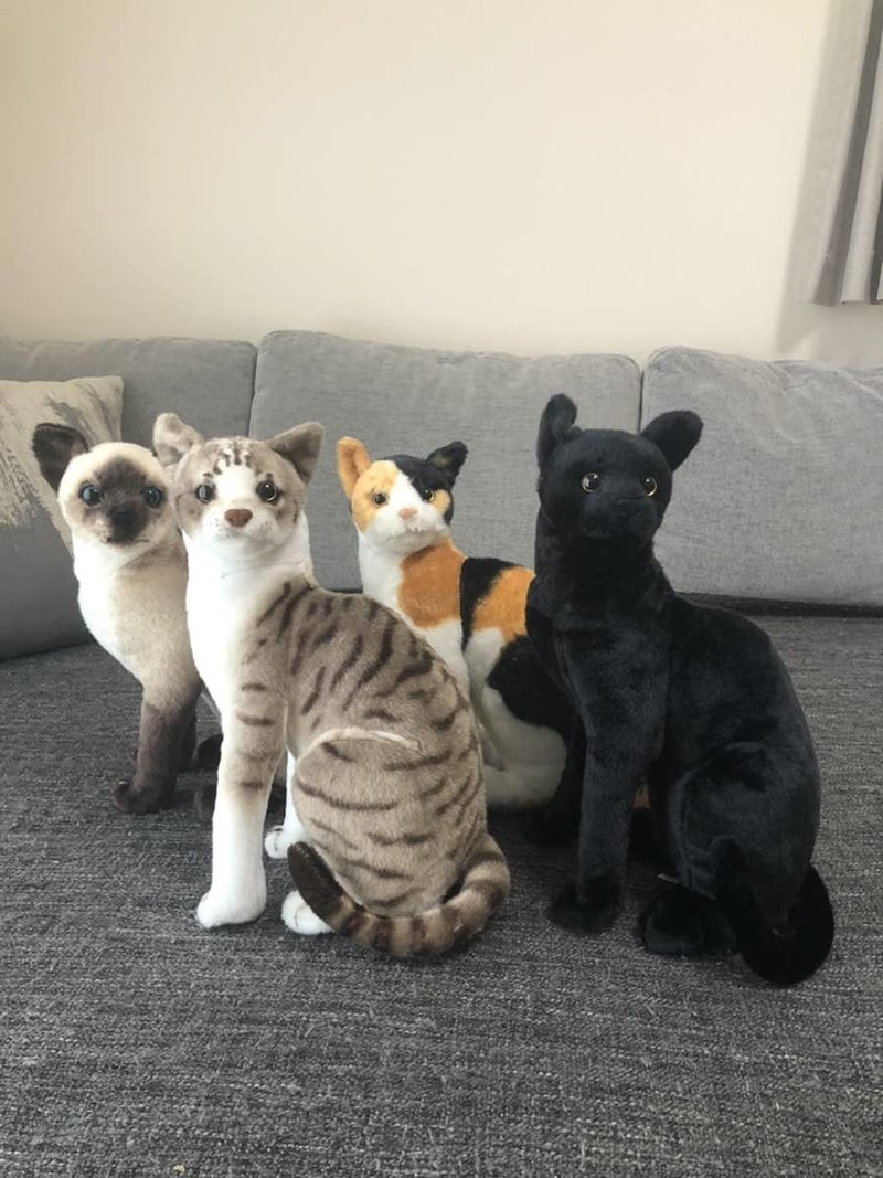 TigerHart Stefan The Siamese Cat - 14 Inch Stuffed Animal Plush - Image 2