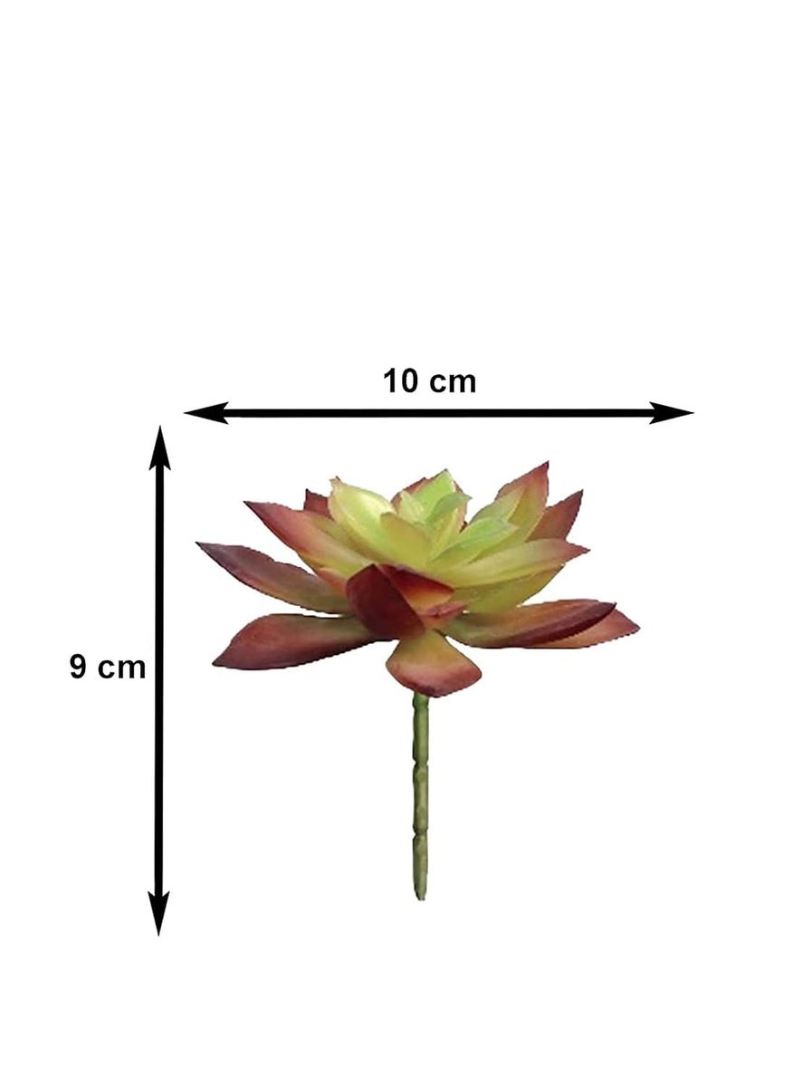 GARDEN DECO GARDEN DECO Artificial Small Succulent Plant for Home Office Indoor or Outdoor Decoration Set of 2 Pcs MulticolorHigh Real Appearance  - Image 2