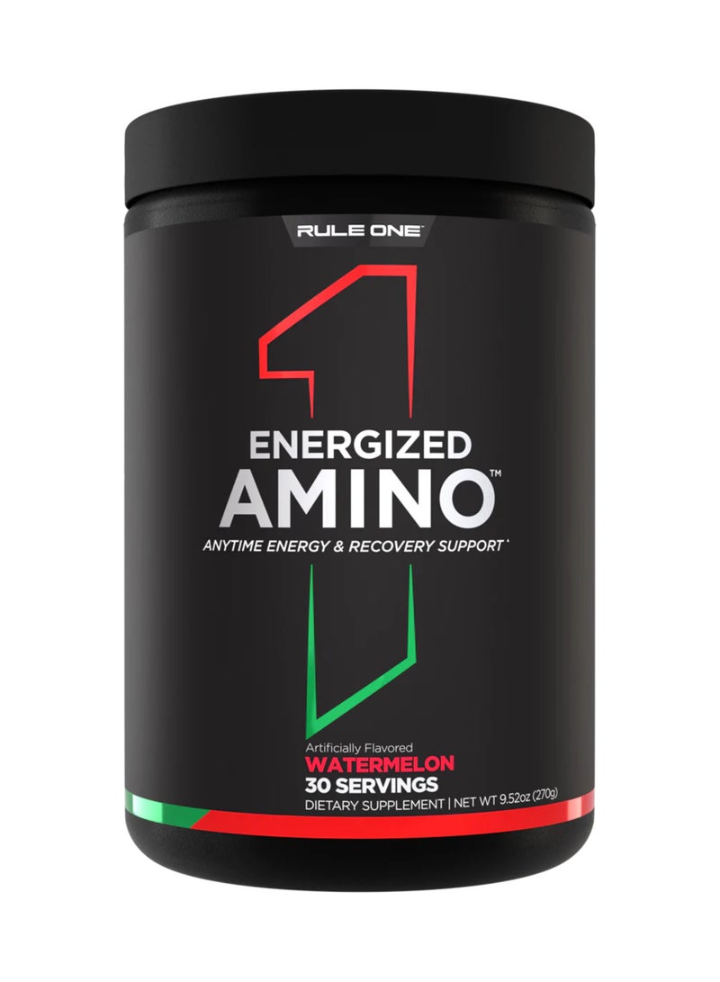 Energized Amino & Recovery Support 30 servings