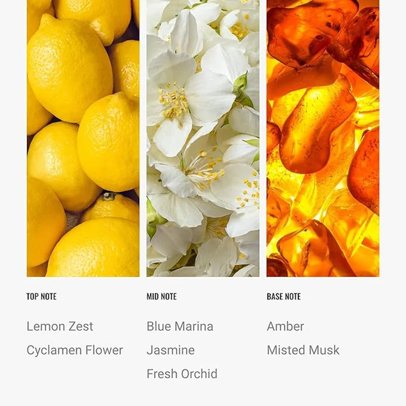 Hotel Collection  Escape Fragrance Oil Blend - Hotel Inspired for Luxury Essential Oil Diffusers - Aromatherapy Scent Diffuser Oil - Citron, Bergamot, and Orange - 50 mL, 1.7 fl oz  | Best Price UAE