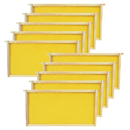 HiveSweet Deep Brood Beehive Frames with Wax Foundation 10pack Beehive Frames Beeswax Dipped Plastic Foundations for Beekeeping 9-1/8-Inch - Image 1