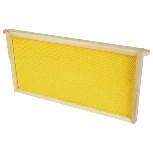 HiveSweet Deep Brood Beehive Frames with Wax Foundation 10pack Beehive Frames Beeswax Dipped Plastic Foundations for Beekeeping 9-1/8-Inch - Image 5
