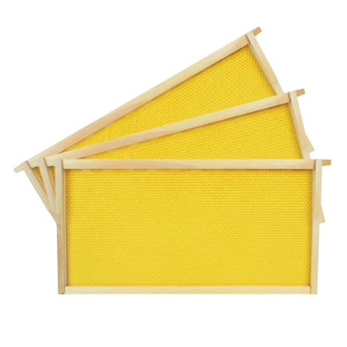 HiveSweet Deep Brood Beehive Frames with Wax Foundation 10pack Beehive Frames Beeswax Dipped Plastic Foundations for Beekeeping 9-1/8-Inch - Image 2
