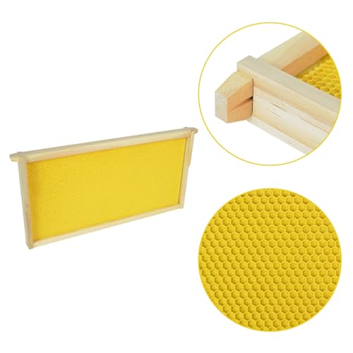 HiveSweet Deep Brood Beehive Frames with Wax Foundation 10pack Beehive Frames Beeswax Dipped Plastic Foundations for Beekeeping 9-1/8-Inch - Image 3