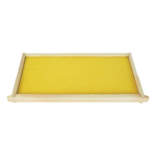 HiveSweet Deep Brood Beehive Frames with Wax Foundation 10pack Beehive Frames Beeswax Dipped Plastic Foundations for Beekeeping 9-1/8-Inch - Image 4