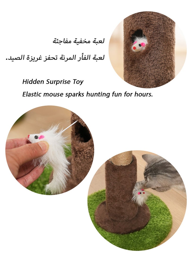 Date Palm Cat Scratching Post with Date Ball Top, Hidden Mouse Toy, Durable Sisal, and Detachable Design for All Cats - Image 3