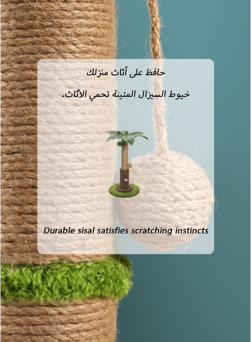 Date Palm Cat Scratching Post with Date Ball Top, Hidden Mouse Toy, Durable Sisal, and Detachable Design for All Cats - Image 4