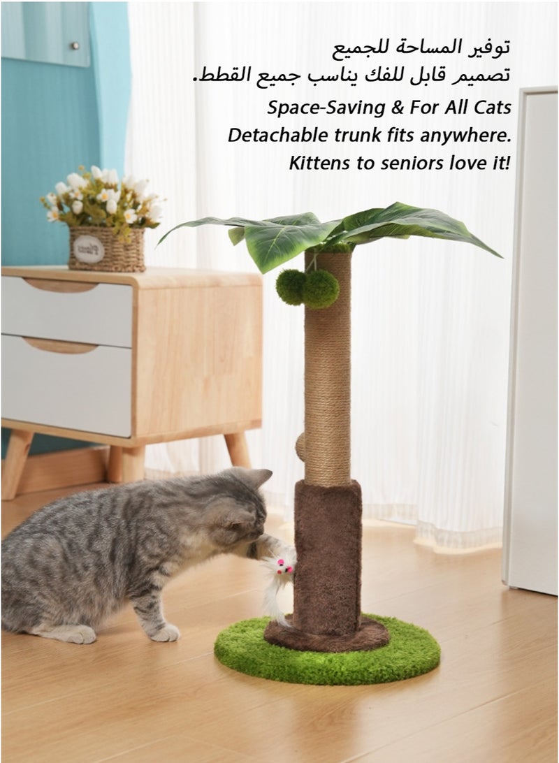 Date Palm Cat Scratching Post with Date Ball Top, Hidden Mouse Toy, Durable Sisal, and Detachable Design for All Cats - Image 5