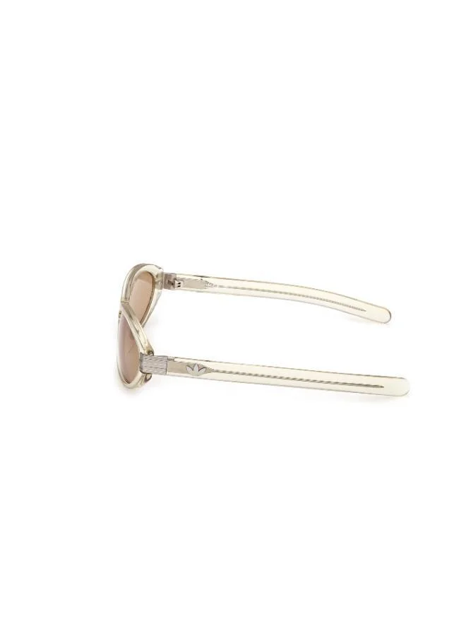 Adidas Wayfarers Sunglasses