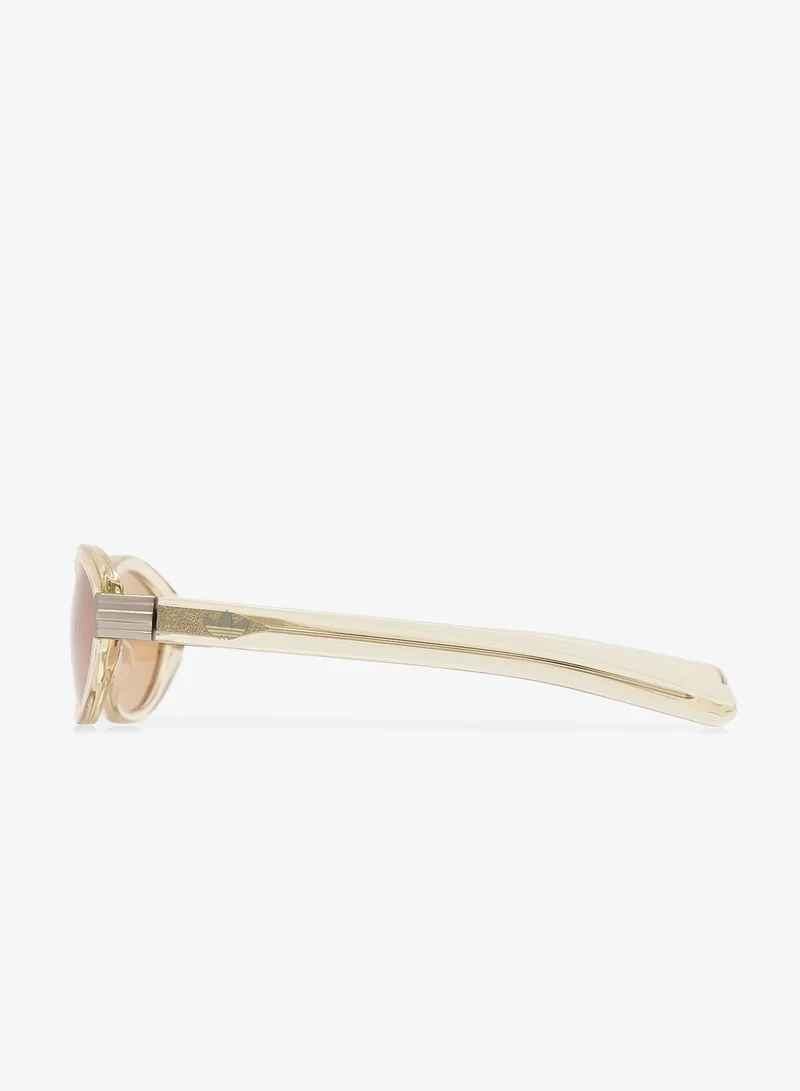 Adidas  Wayfarers Sunglasses  | Best Price UAE