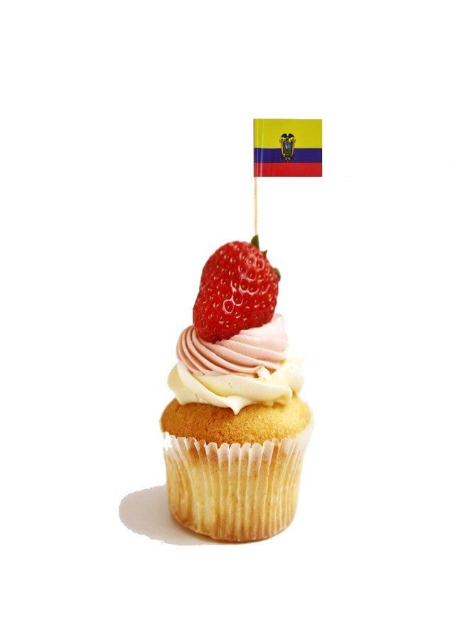 JAVD CYPS 100 Pcs Ecuador Flag Ecuadorian Toothpick Flags, Small Mini Stick Cupcake Toppers Ecuador Flags,Country Picks Party Decoration Celebration Cocktail Food Bar Cake Flags - Image 4