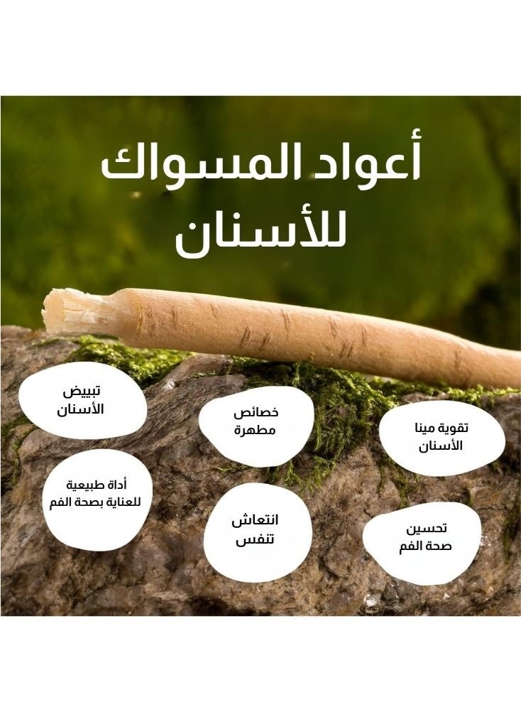 ١٢ عود مسواك أراك – فرشاة أسنان طبيعية بطبقة حماية، عناية بالفم خالية من المواد الكيميائية، تقوّي اللثة، تنعش النفس، مثالية للاستخدام اليومي والسفر - Image 5
