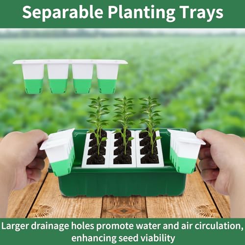 Sondiko Seed Starter Tray with Soft Silicone Cells, 80 Cells Seedling Trays Seed Startering Kit, 4 Pack Plant Starter Trays with Humidity Dome, Base Mini Greenhouse Germination Kit - Image 3