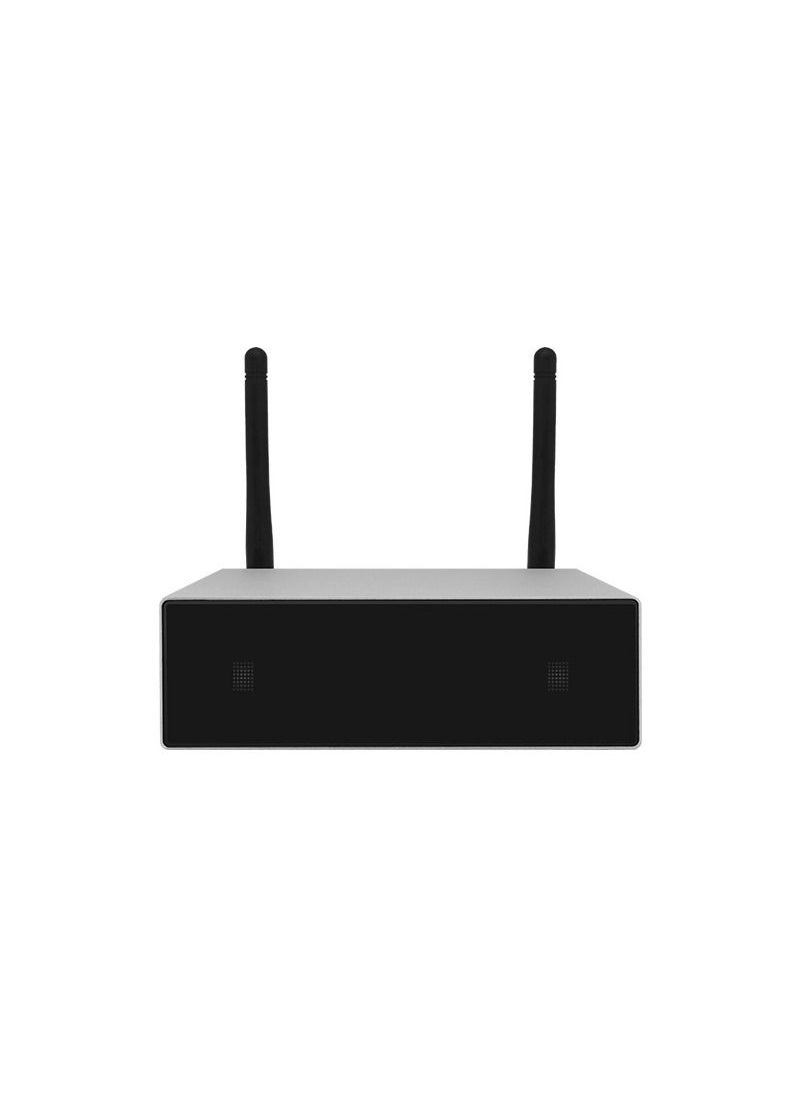 DSPPA - WIFI Streaming Amplifier - Image 1