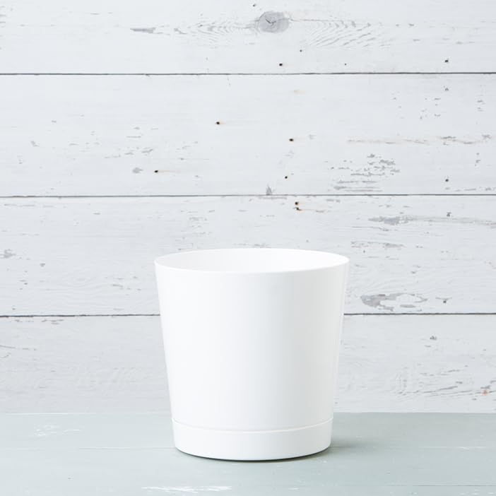 Root & Vessel Novelty Majestic Full Depth Cylinder Pot, Glossy White, 12-Inch (10122) - Image 3