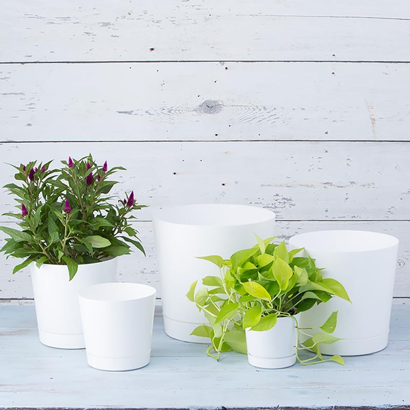 Root & Vessel Novelty Majestic Full Depth Cylinder Pot, Glossy White, 12-Inch (10122) - Image 5