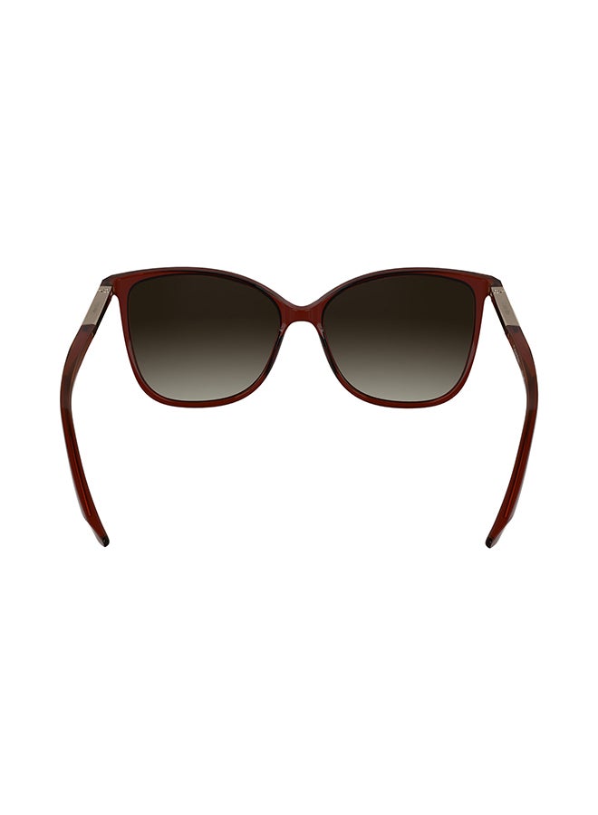 CALVIN KLEIN نظارات شمسية كاملة الإطار من كالفن كلاين CK25504S 5715 (605) شفافة بورغندي - Image 3