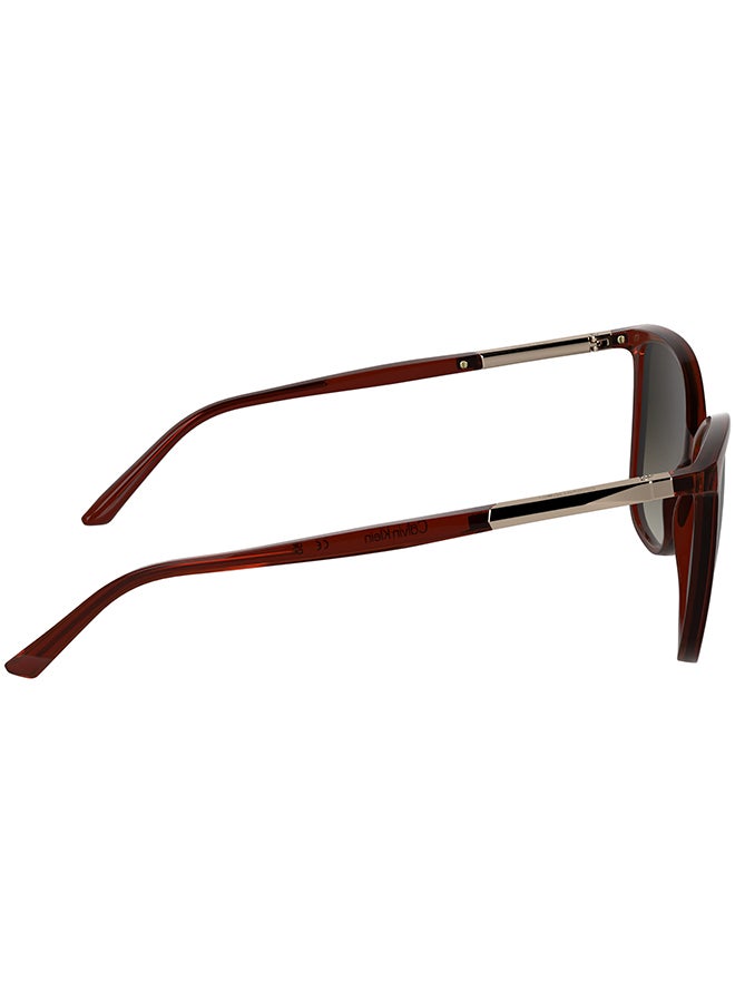 CALVIN KLEIN نظارات شمسية كاملة الإطار من كالفن كلاين CK25504S 5715 (605) شفافة بورغندي - Image 5