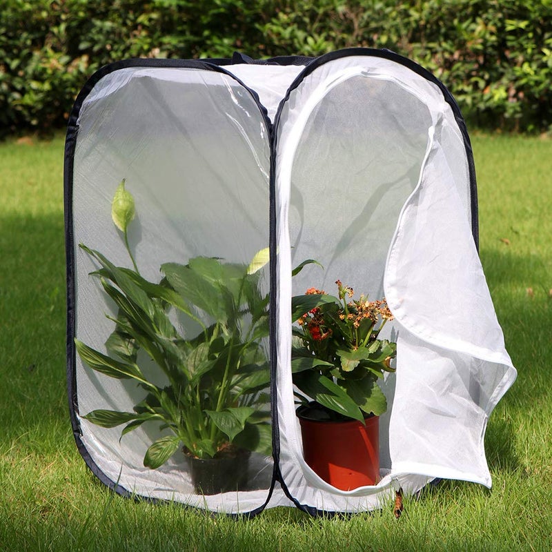 RESTCLOUD Insect and Butterfly Habitat Cage Terrarium Pop-up 23.6 Inches Tall - Image 3